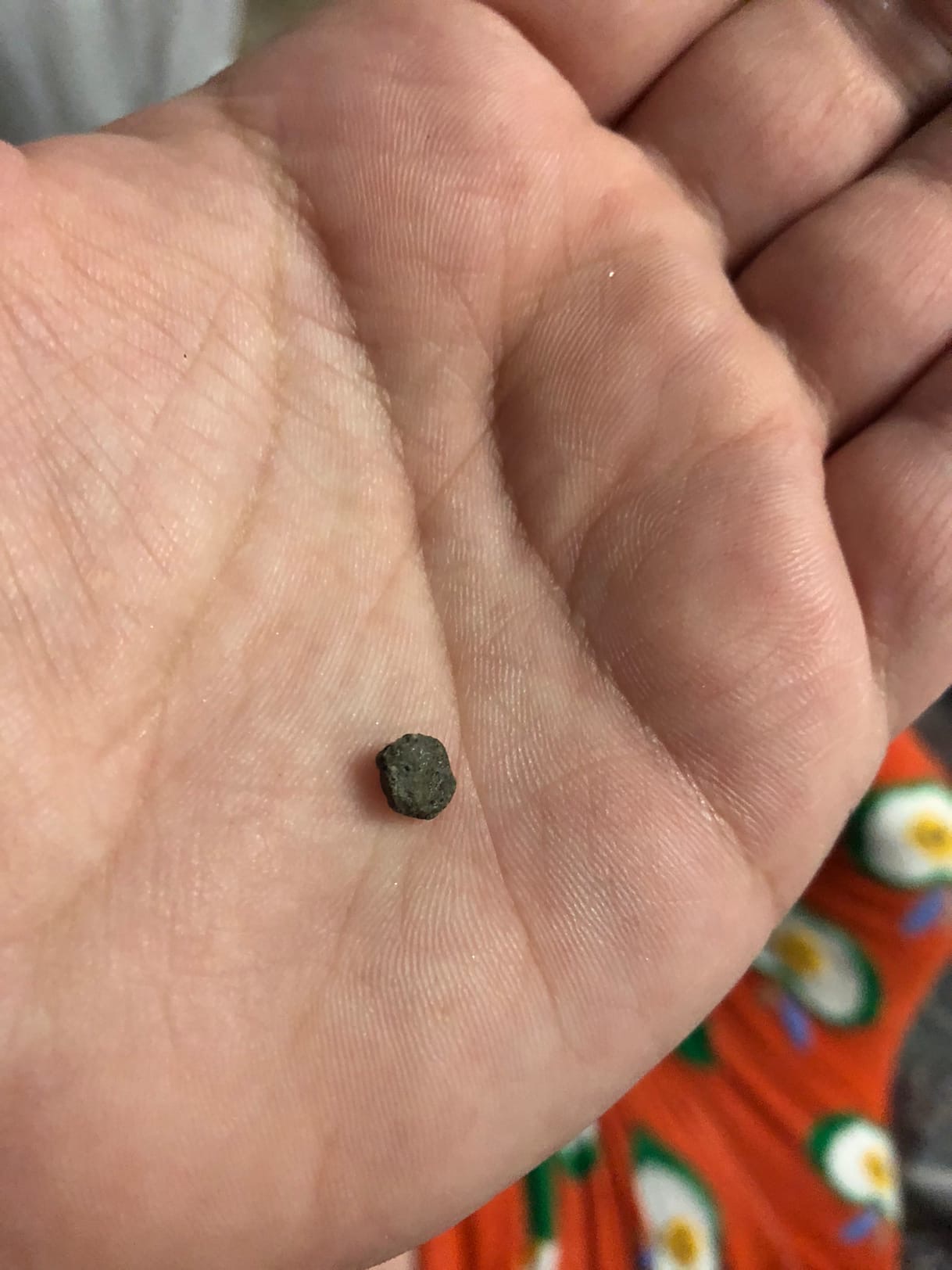 Пензячка в роллах нашла "талисман удачи"