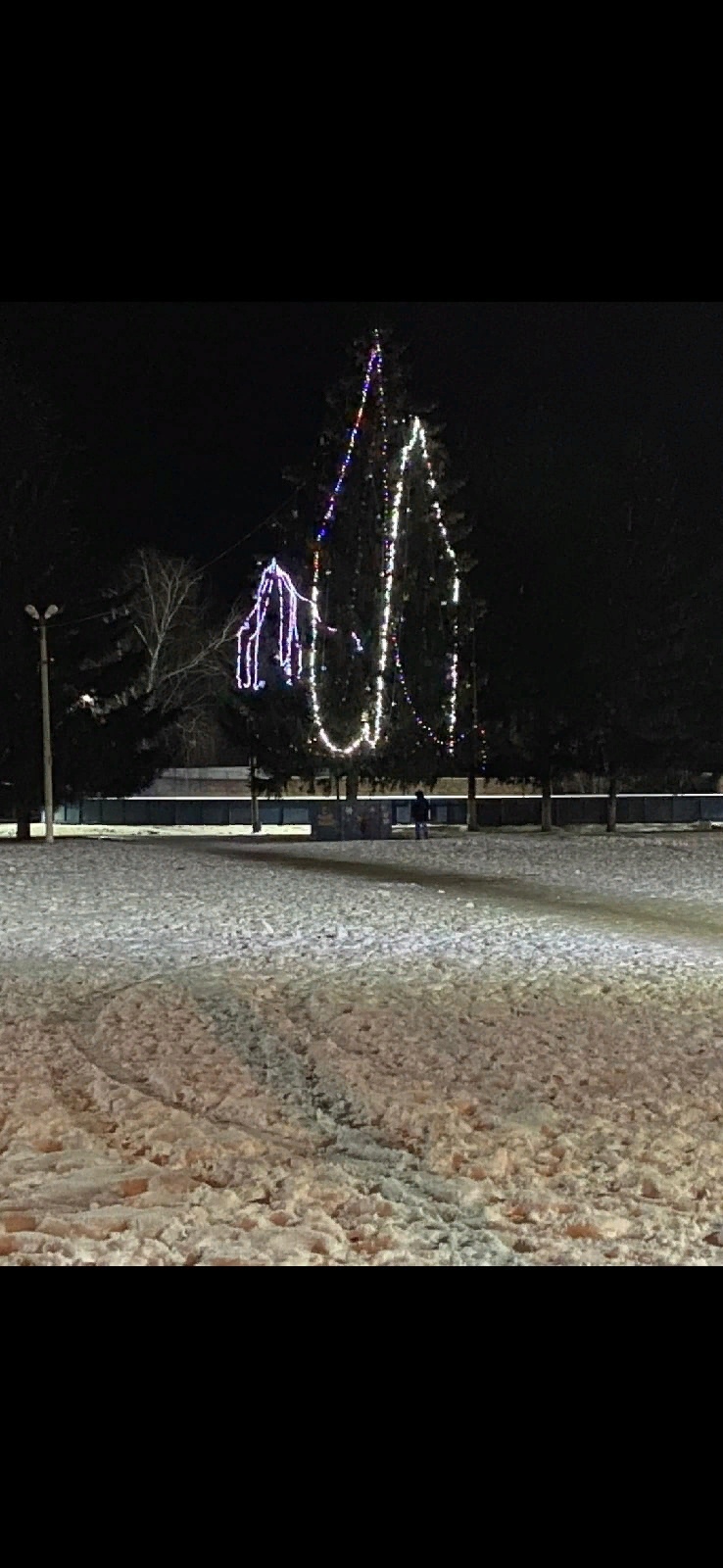 В Пензенской области появилась еще одна «позорная» новогодняя елка