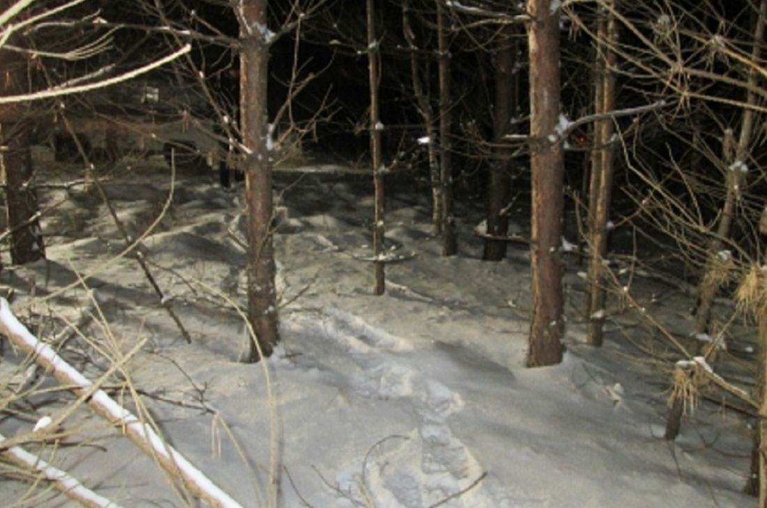 Думал, кабан: пензенский охотник по ошибке убил человека