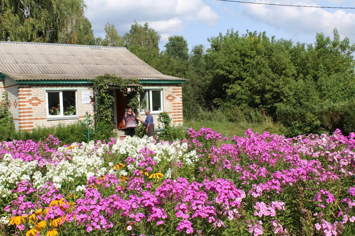 В Пензенской области появится боле 200 новых медицинских объектов