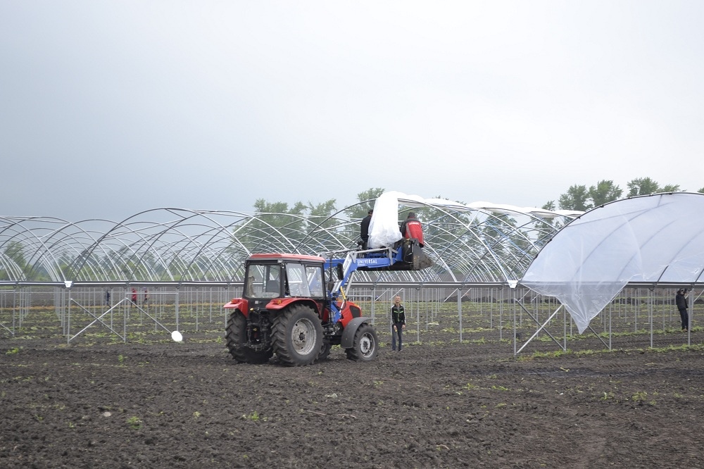 Роман Калентьев рассказал, сколько средств направят на поддержку АПК в этом году