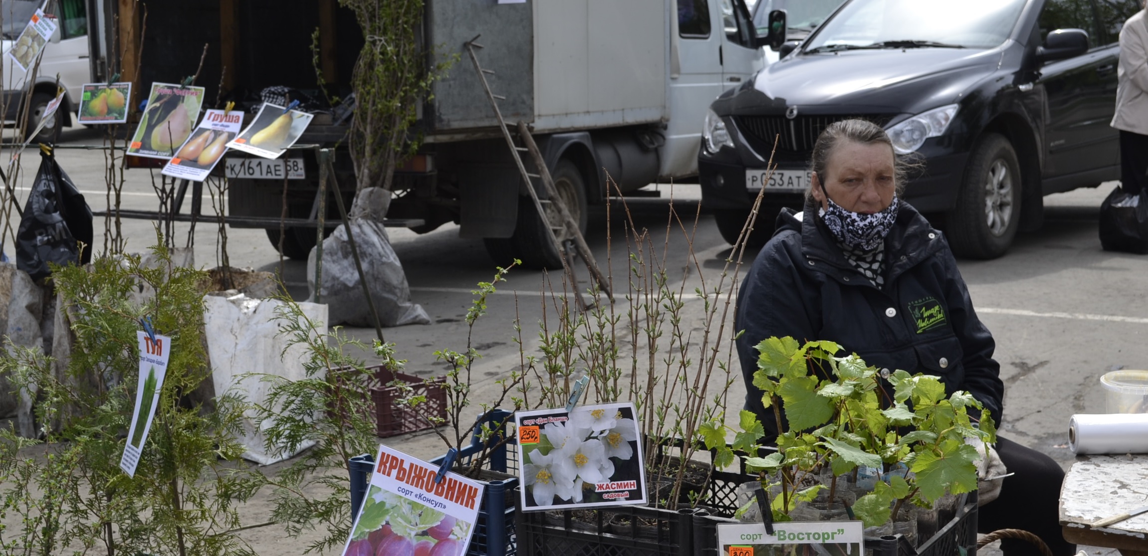 Стало известно, когда в Пензе стартует дачный сезон