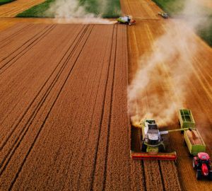 Россельхозбанк: Пензенская область заняла 3-е место по объемам финансирования сезонных работ