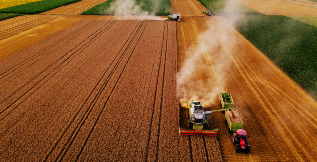 Россельхозбанк: Пензенская область заняла 3-е место по объемам финансирования сезонных работ