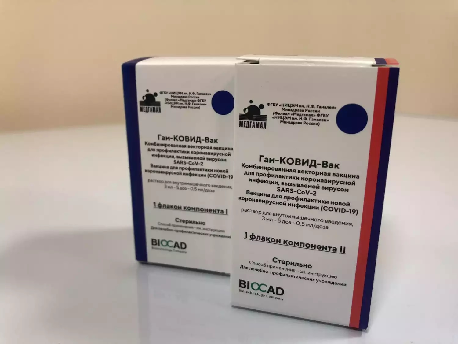 Пресс-секретарь губернатора заявила, что в Пензе нет проблем с записью на прививку от COVID-19