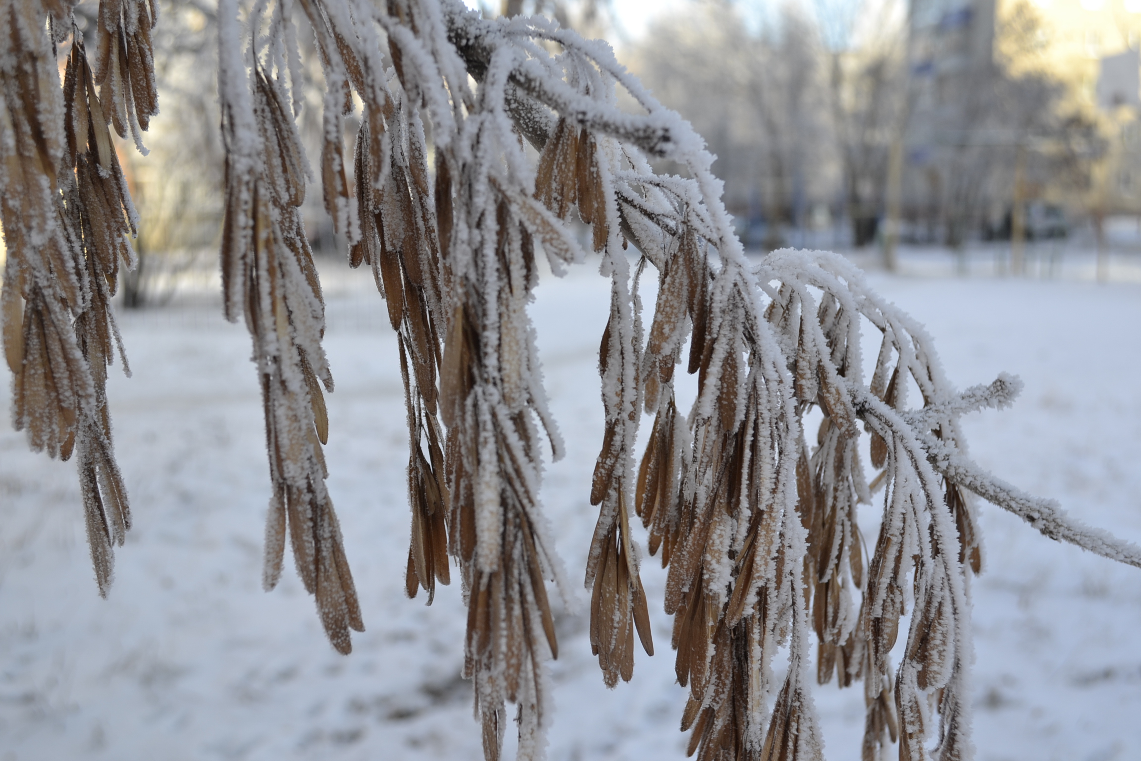 В связи с морозами в МЧС напомнили, как вызвать пожарных с мобильного