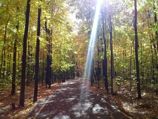 В Пензе многокилометровая экологическая тропа появится в 2021 году