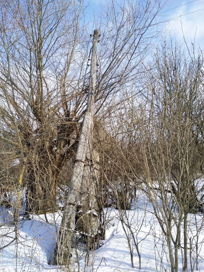 Жители Пензенской области могут подключиться к «сети 5G» через падающий столб