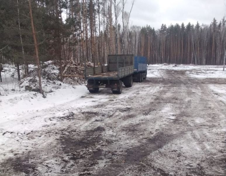 Ведется подготовка к строительству нового кладбища в Пензе