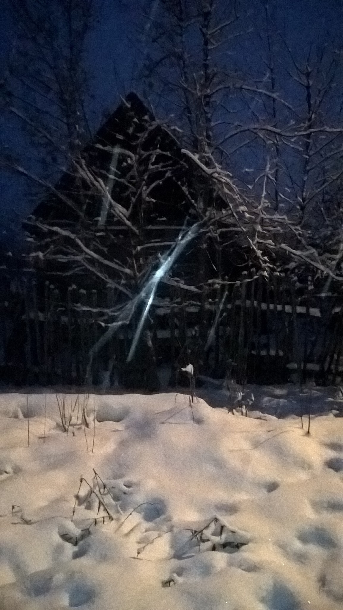 В Пензе лыжника нашли в лесу по геолокации в телефоне