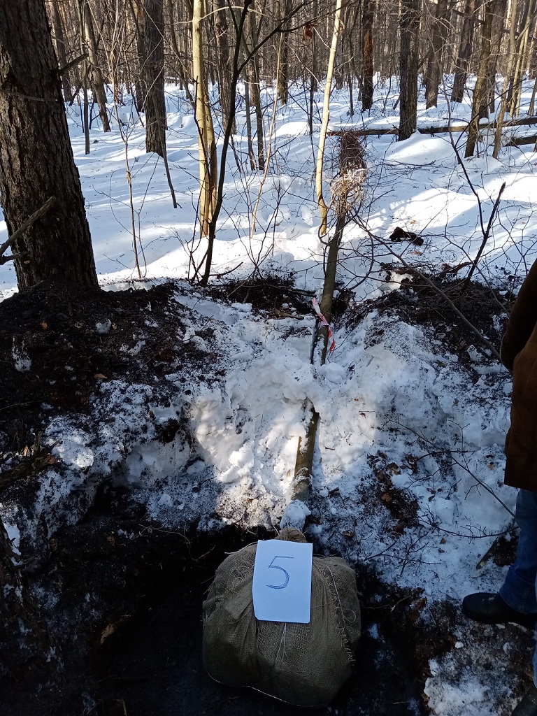 Липовыми браконьерами заинтересовалась полиция