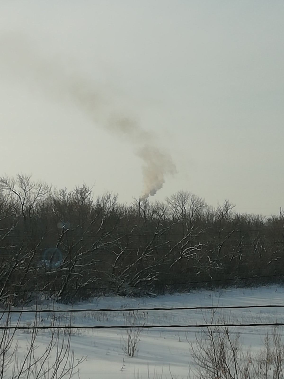 Проблему задыхающихся кузнечан переадресуют в прокуратуру
