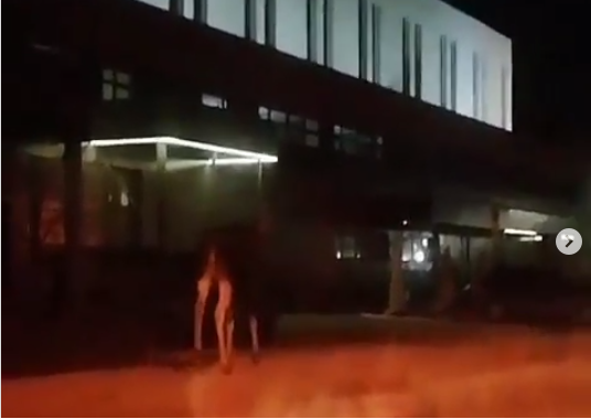 В Заречном лоси "пришли в магазин"