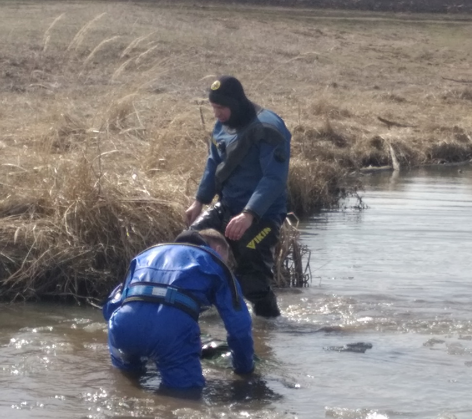 В пруду Каменского района нашли мёртвого мужчину