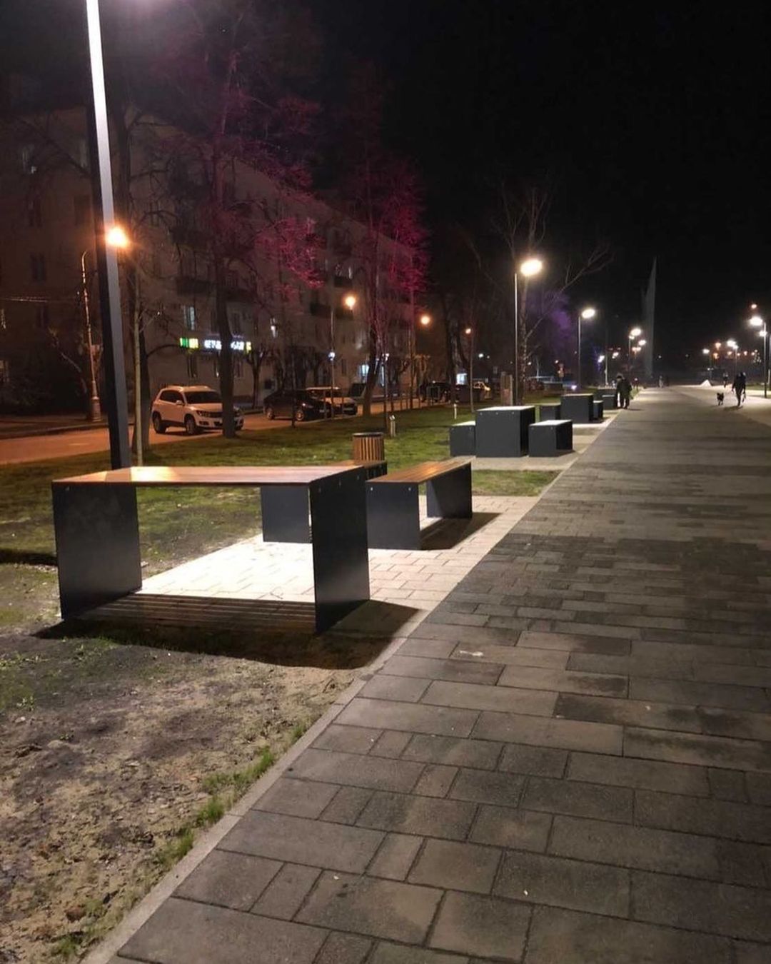 Жители Пензы остались недовольны «одноразовыми» скамейками на улице Славы