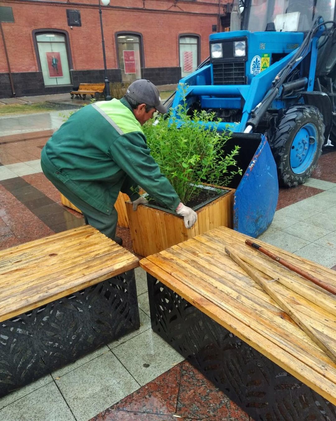 В Пензе вместо пропавших Гинналов на площади Ленина появились кустарники спиреи