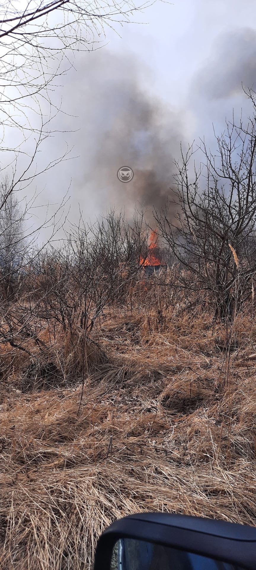 Решение о введении противопожарного режима примут по каждому конкретному району