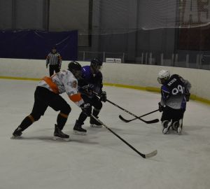 Ледовая дружина «Дионис» разгромила соперника в серии плей-офф