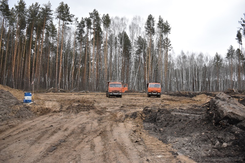 В Пензе на Восточном кладбище сделают еще один проезд