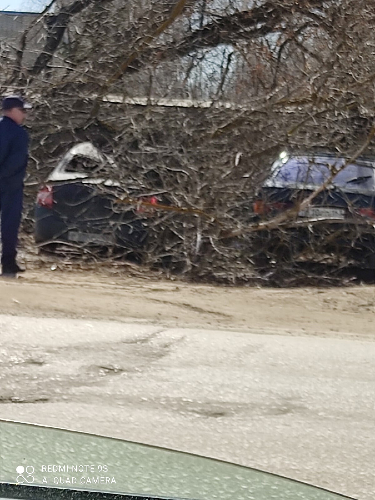 В Кузнецке дерево рухнуло на припаркованные машины