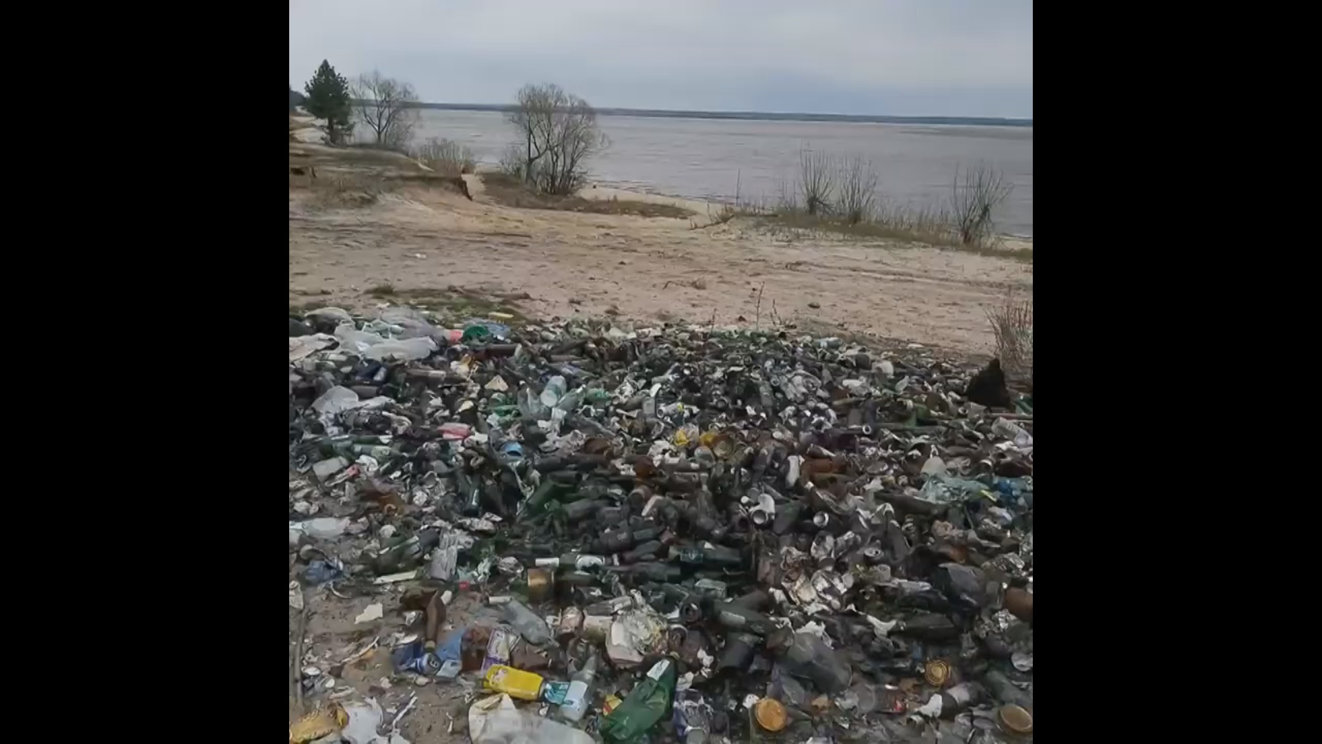 Рыбаки завалили мусором побережье Сурского водохранилища