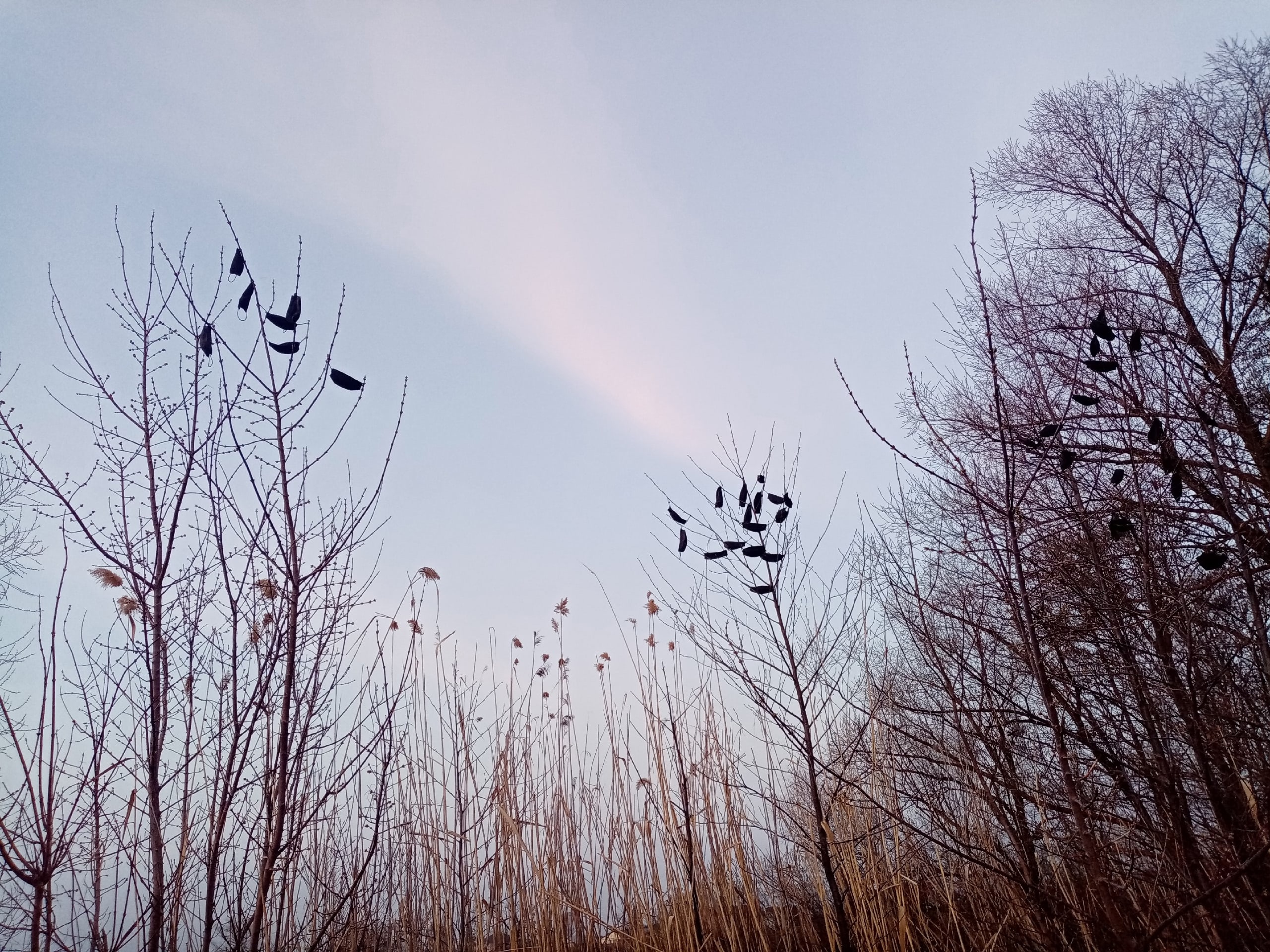 Жительница Пензы обнаружила «памятник ковиду»