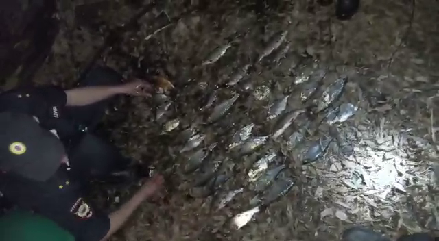 Пензенских браконьеров «сдали» полиции сознательные граждане