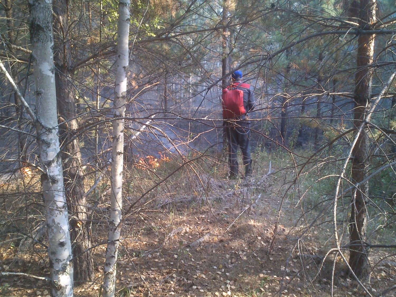 В Бессоновском районе вспыхнул лес