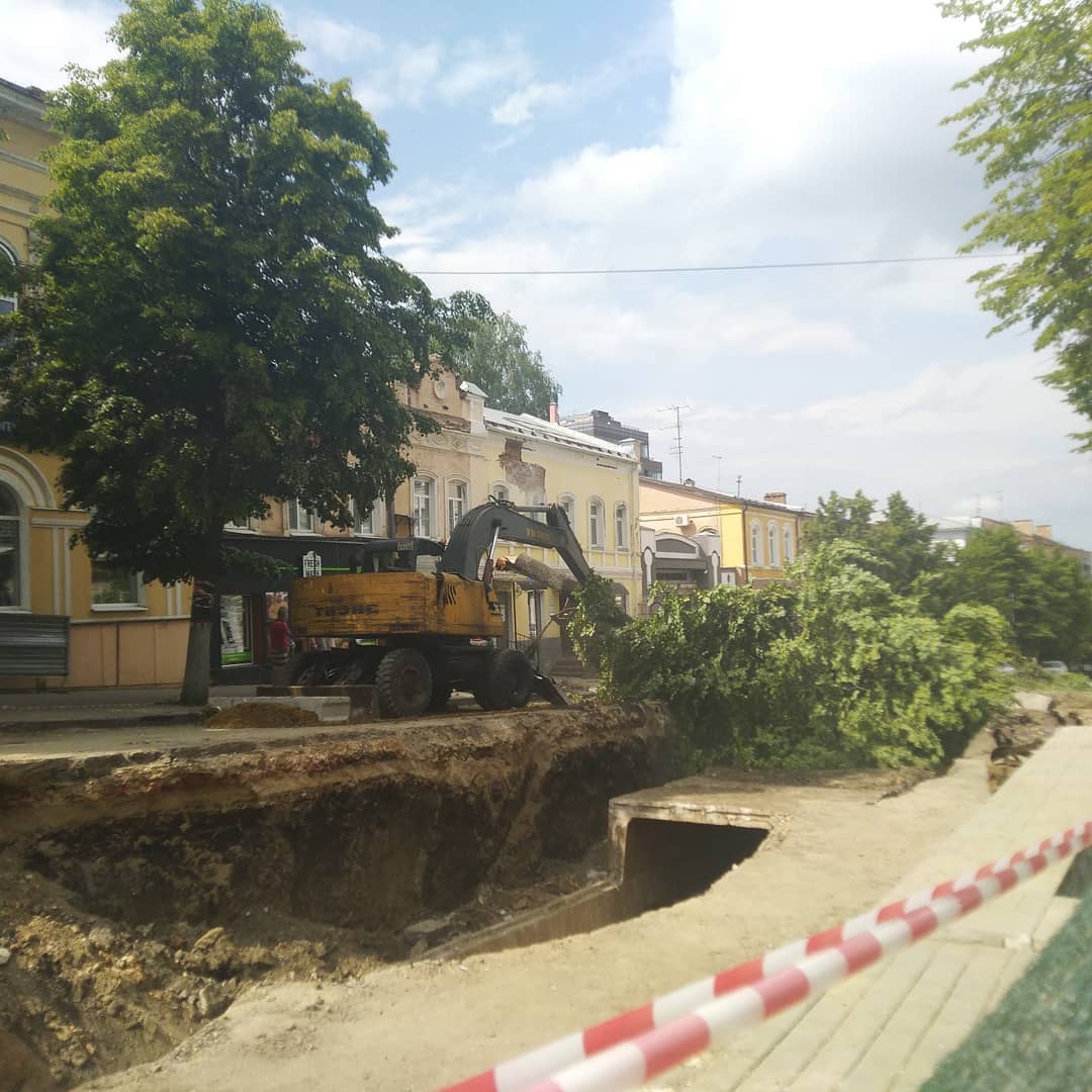 В администрации Пензы объяснили спил многолетних лип на Московской улице