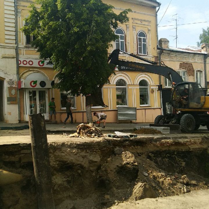 Стало известно, в какую цену оценили спиленные на улице Московской липы
