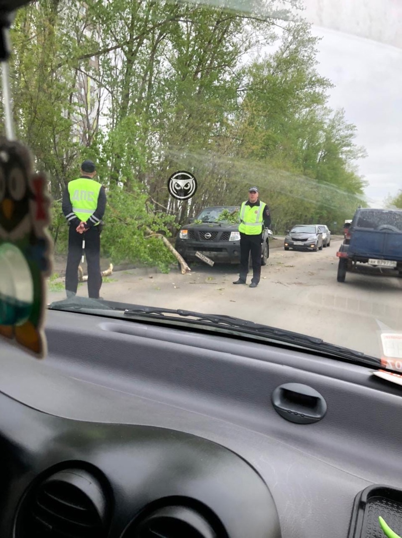 В Пензе на машину рухнуло дерево