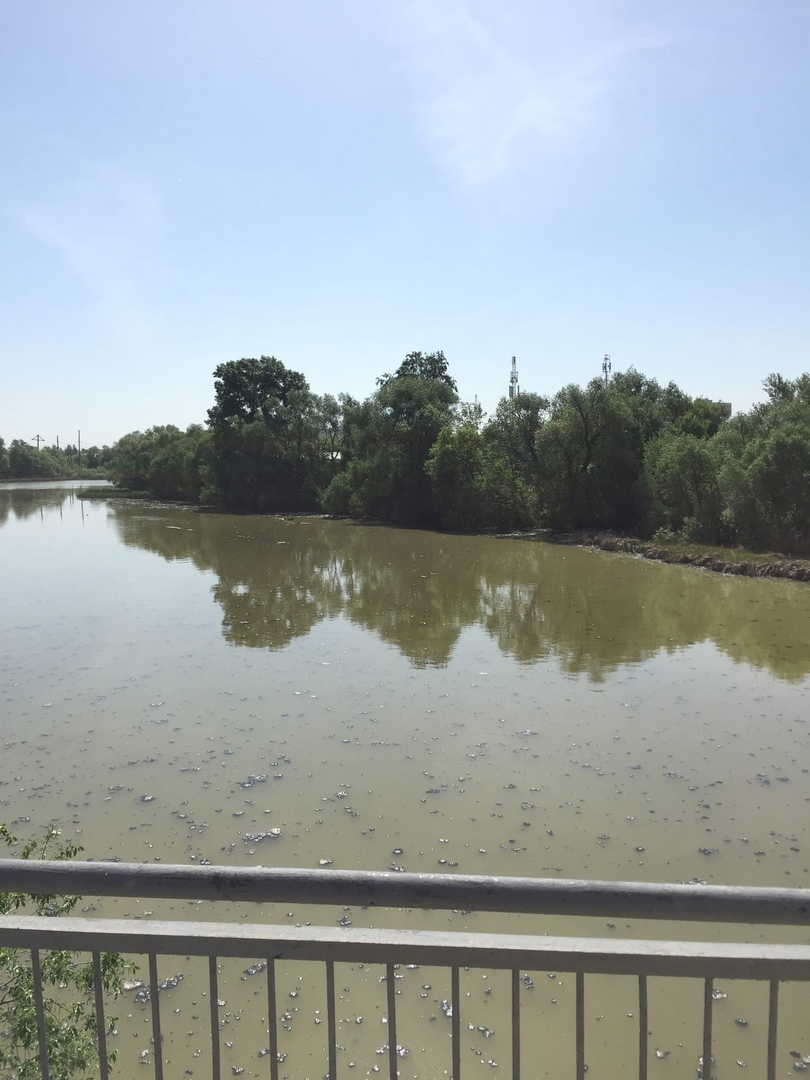 «Очередной сброс химии»: пензенцы сообщили о новой экологической проблеме