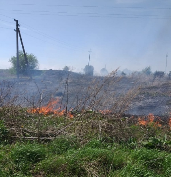 В Пензенском районе загорелись трава и мусор