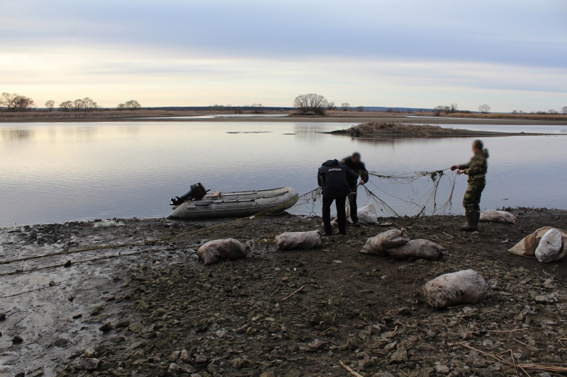 Более 200 рыб в сетях: в Пензенской области задержаны браконьеры