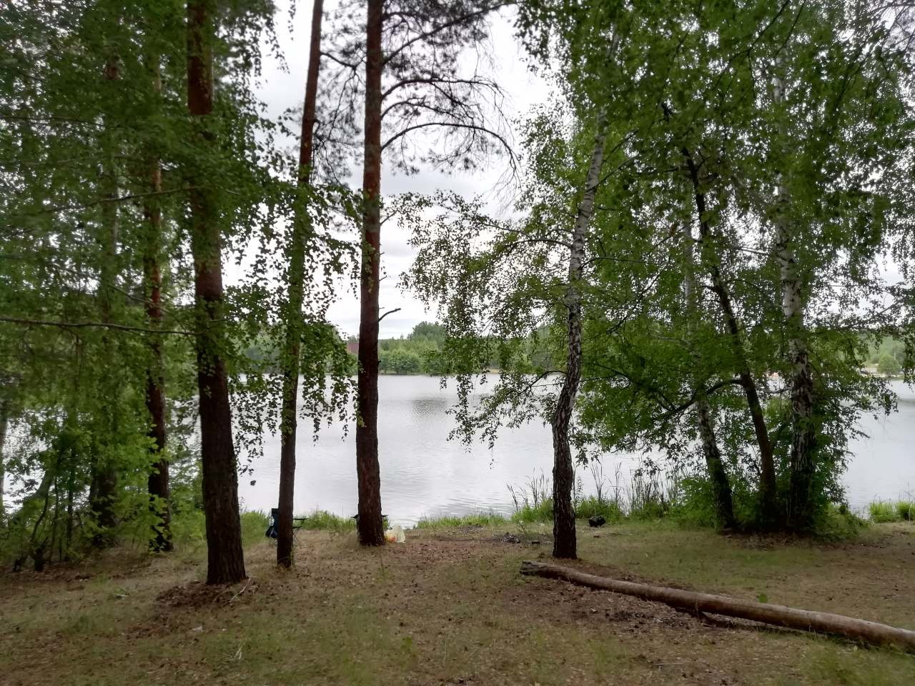 В Сердобском районе после столкновения машины с деревом пострадали двое