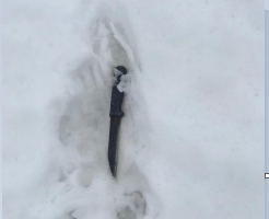 Пензенец был убит собутыльником, который жил в его доме несколько недель