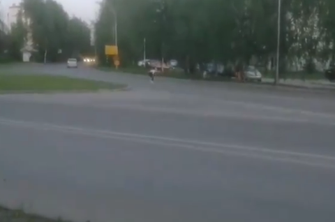 В Заречном дети выбегают на оживленную магистраль и прыгают перед машинами