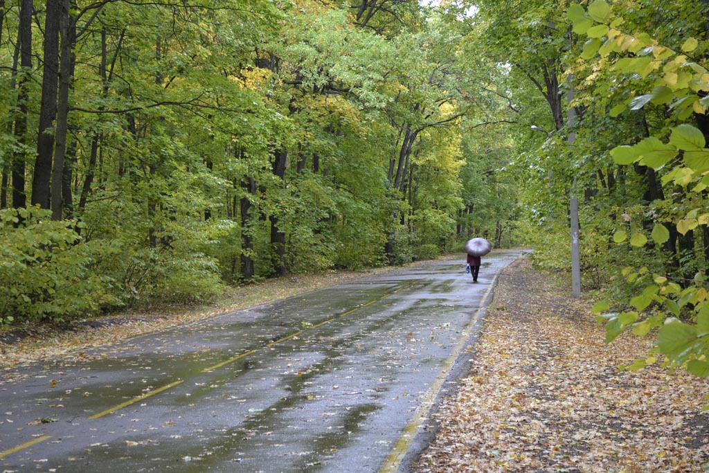 В Пензе временно закроют ахунскую тропу здоровья