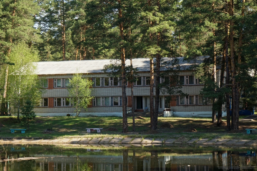 В Пензенской области детям не разрешат покидать летние лагеря после начала смены