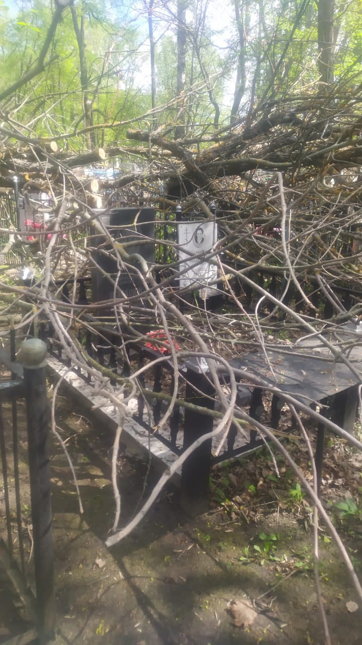 В Пензенской области могилу героя Советского союза забросали ветками