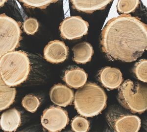 Российские компании сетуют на дефицит пиломатериала для строительства домов