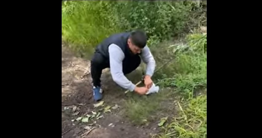 Пензенские рыбаки поймали чайку на удочку