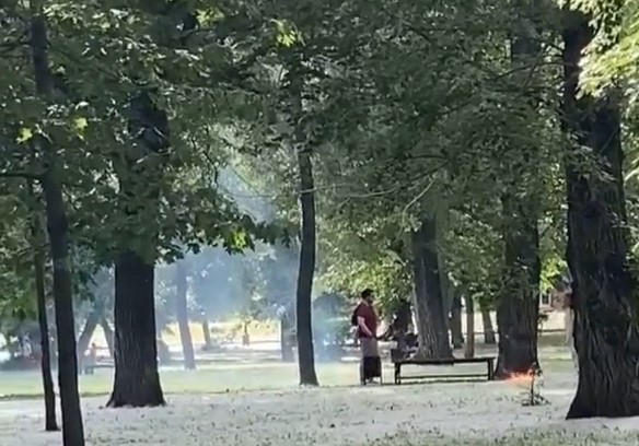 Юные пензенцы пытались устроить пожар в сквере Лермонтова