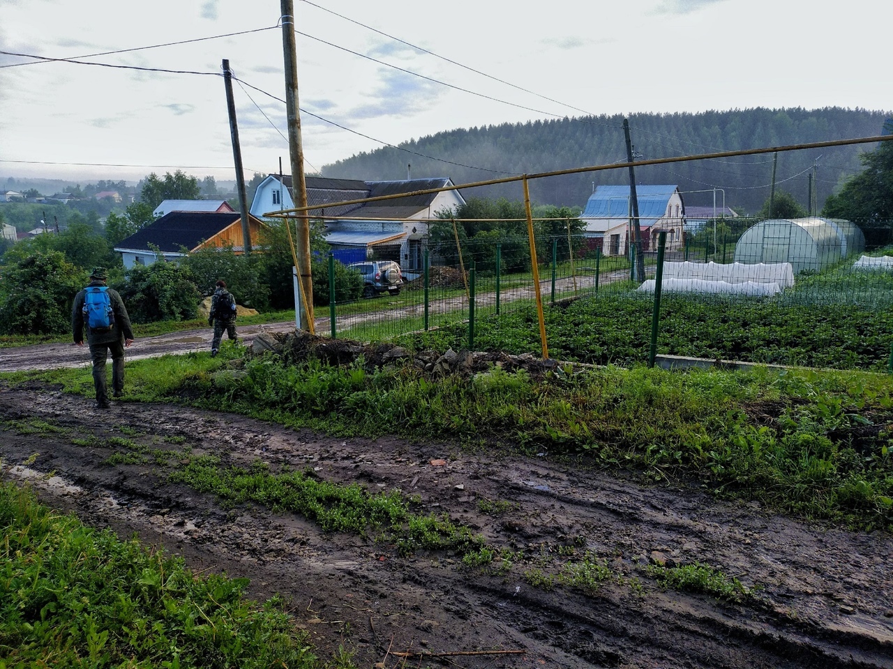 Волонтеры рассказали, какие усилия были предприняты для поиска кузнечанина