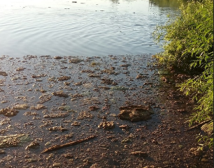 Пензенцы пожаловались на очередной выброс фабрики «Маяк»