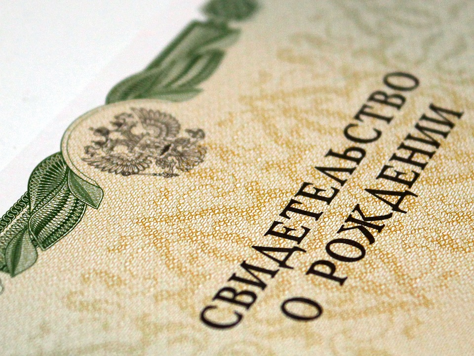 В Пензенской области ребенок не может поучить соцподдержку из-за ошибки в роддоме