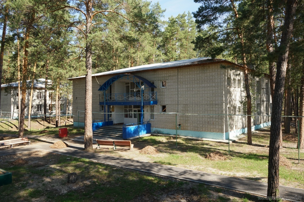 В пензенском лагере «Строитель» дети душили друг друга перед ужином