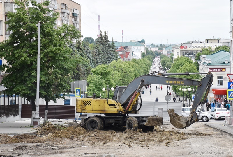В Пензе на Московской улице высадят пятиметровые деревья