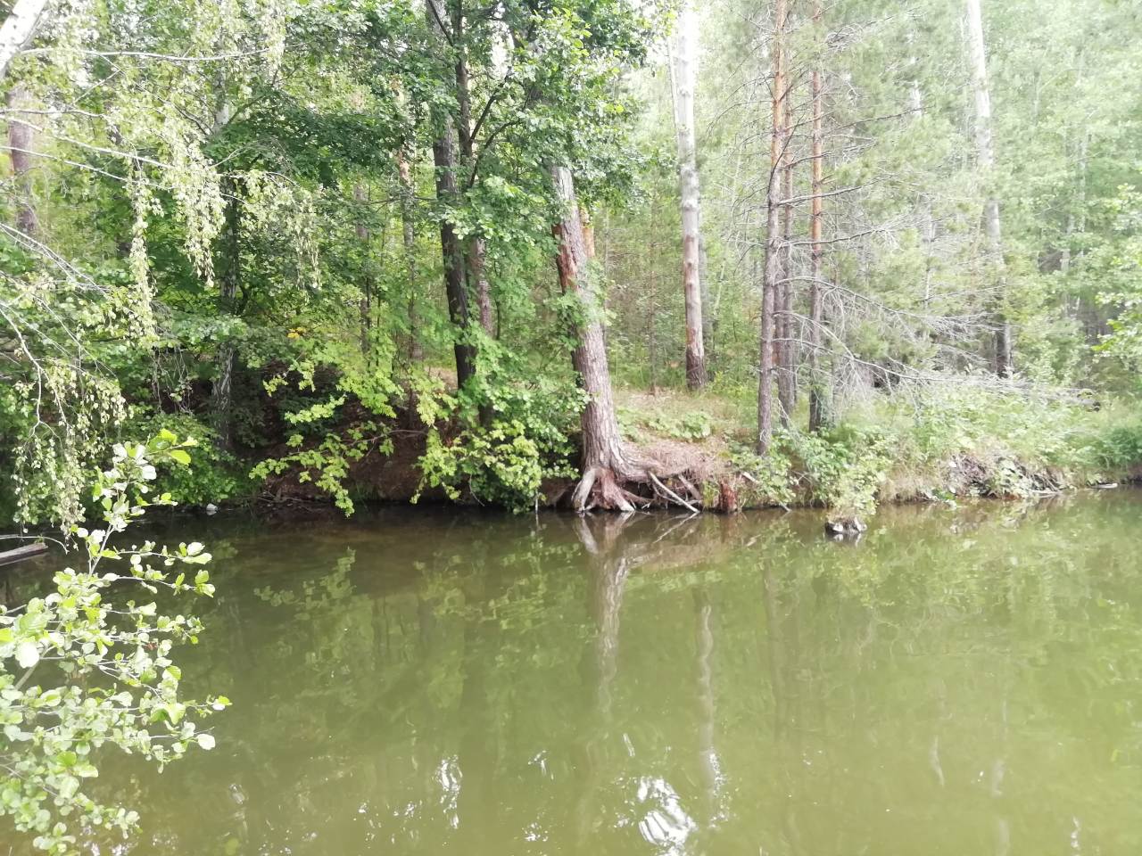 В Пензенской области утонул еще один человек