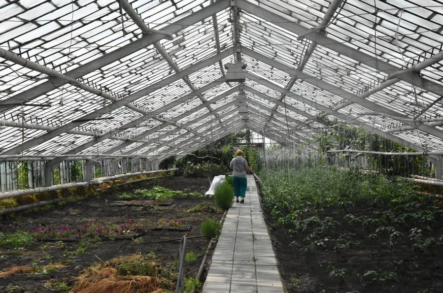 Городской бюджет закрыл колоссальный долг МУП «Зеленое хозяйство»